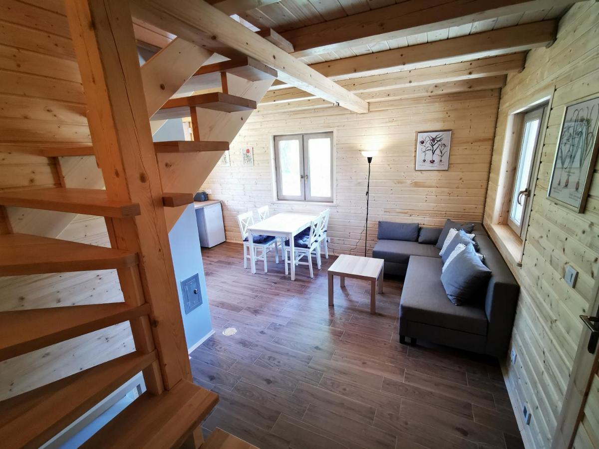 Domki Widokowka Wysowa-Zdrój Exteriör bild