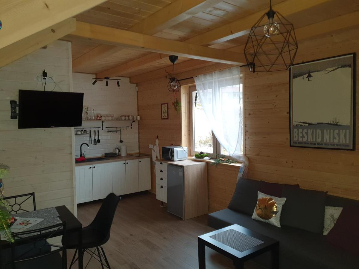 Domki Widokowka Wysowa-Zdrój Exteriör bild