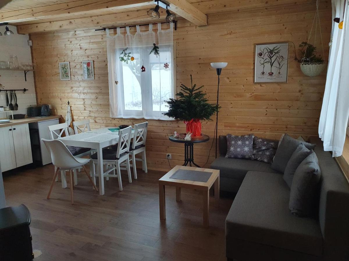 Domki Widokowka Wysowa-Zdrój Exteriör bild